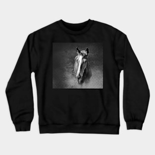 Horse emerging from the mist Crewneck Sweatshirt